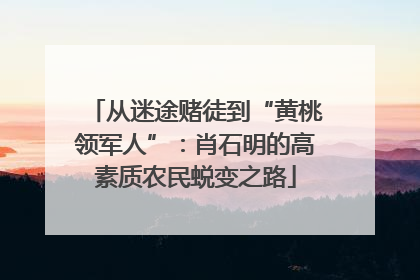 从迷途赌徒到“黄桃领军人”：肖石明的高素质农民蜕变之路